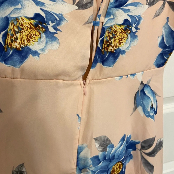 NWT Lulus Garden Walk Blush Pink Skater Dress - Picture 4 of 9